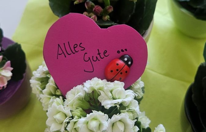 Topfblumen mit Herzanhänger Alles Gute und Marienkäfer