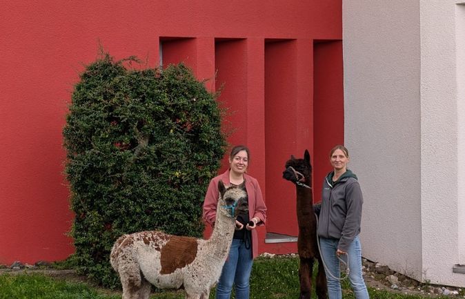 Zwei Frauen führen zwei Alpakas vor dem Konrad-Manopp-Stift